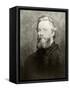 Herman Melville-American School-Framed Stretched Canvas