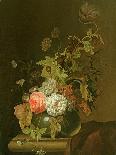 Flower Study-Herman van der Myn-Stretched Canvas