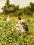 Picking Daisies, 1905-Hermann Seeger-Stretched Canvas