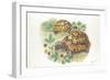 HermannS Tortoises Testudo Hermanni Eating-null-Framed Giclee Print