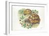 HermannS Tortoises Testudo Hermanni Eating-null-Framed Premium Giclee Print