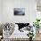 Hermanus, Western Cape, South Africa, Africa-Ian Trower-Stretched Canvas displayed on a wall