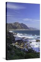 Hermanus, Western Cape, South Africa, Africa-Ian Trower-Stretched Canvas