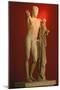 Hermes with the Infant Dionysus, Found in the Heraeum, Olympia, in 1877, One of Th..., 1990S (Photo-James L Stanfield-Mounted Giclee Print