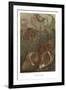 Hermit-Crabs-null-Framed Premium Giclee Print