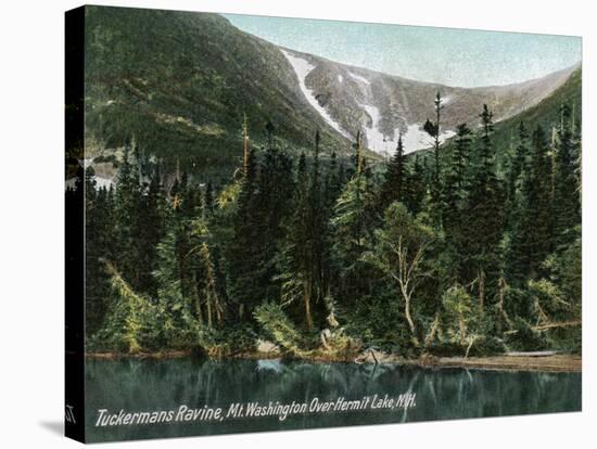Hermit Lake, NH - View of Tuckermans Ravine, Mt. Washington-Lantern Press-Stretched Canvas