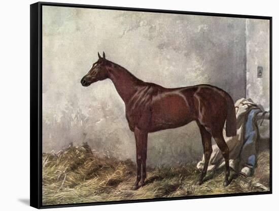 Hermit (Racehorse) 1867-Harry Hall-Framed Stretched Canvas