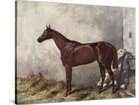 Hermit (Racehorse) 1867-Harry Hall-Stretched Canvas
