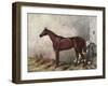 Hermit (Racehorse) 1867-Harry Hall-Framed Art Print