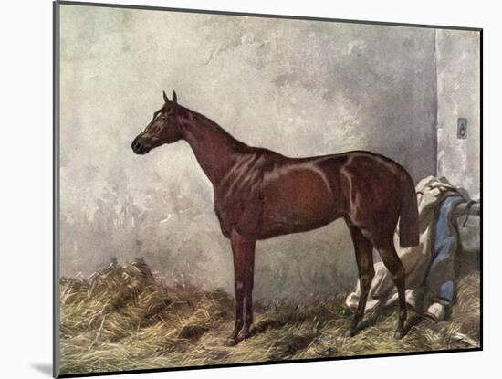 Hermit (Racehorse) 1867-Harry Hall-Mounted Art Print