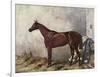 Hermit (Racehorse) 1867-Harry Hall-Framed Art Print