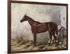 Hermit (Racehorse) 1867-Harry Hall-Framed Art Print