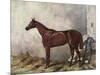 Hermit (Racehorse) 1867-Harry Hall-Mounted Art Print