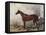 Hermit (Racehorse) 1867-Harry Hall-Framed Stretched Canvas