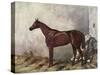 Hermit (Racehorse) 1867-Harry Hall-Stretched Canvas