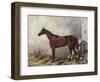 Hermit (Racehorse) 1867-Harry Hall-Framed Art Print