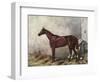 Hermit (Racehorse) 1867-Harry Hall-Framed Art Print