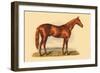 Hermit-L. Penicaut-Framed Premium Giclee Print