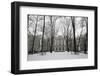 Hermitage Museum, UNESCO World Heritage Site, St. Petersburg, Russia, Europe-Godong-Framed Photographic Print