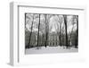 Hermitage Museum, UNESCO World Heritage Site, St. Petersburg, Russia, Europe-Godong-Framed Photographic Print