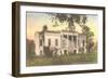 Hermitage Plantation, Savannah, Georgia-null-Framed Art Print