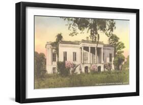 Hermitage Plantation, Savannah, Georgia-null-Framed Art Print