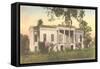 Hermitage Plantation, Savannah, Georgia-null-Framed Stretched Canvas