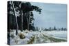 Hermitage Road in the Snow (Village of Higham, Near Rochester)-Vic Trevett-Stretched Canvas