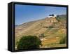 Hermitage Vineyards Behind Tain-L'Hermitage, Drome, France-Per Karlsson-Framed Stretched Canvas