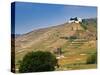 Hermitage Vineyards Behind Tain-L'Hermitage, Drome, France-Per Karlsson-Stretched Canvas