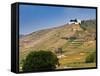 Hermitage Vineyards Behind Tain-L'Hermitage, Drome, France-Per Karlsson-Framed Stretched Canvas