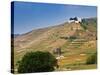 Hermitage Vineyards Behind Tain-L'Hermitage, Drome, France-Per Karlsson-Stretched Canvas