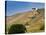 Hermitage Vineyards Behind Tain-L'Hermitage, Drome, France-Per Karlsson-Stretched Canvas