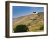 Hermitage Vineyards Behind Tain-L'Hermitage, Drome, France-Per Karlsson-Framed Photographic Print