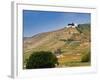 Hermitage Vineyards Behind Tain-L'Hermitage, Drome, France-Per Karlsson-Framed Photographic Print