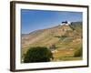 Hermitage Vineyards Behind Tain-L'Hermitage, Drome, France-Per Karlsson-Framed Photographic Print