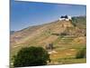 Hermitage Vineyards Behind Tain-L'Hermitage, Drome, France-Per Karlsson-Mounted Photographic Print