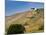 Hermitage Vineyards Behind Tain-L'Hermitage, Drome, France-Per Karlsson-Mounted Photographic Print