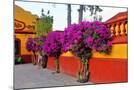 Wood Mount