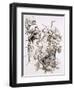 Hernando Cortes and His Soldiers Resist Aztec Attacks-null-Framed Giclee Print