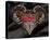 Hero Heart I-Alan Hopfensperger-Stretched Canvas