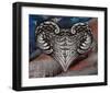 Hero Heart II-Alan Hopfensperger-Framed Art Print