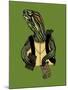 Hero in a Halfshell-Steven Wilson-Mounted Giclee Print