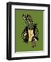 Hero in a Halfshell-Steven Wilson-Framed Premium Giclee Print