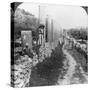 Herod's Street of Columns, Samaria, Palestine (Israe), 1905-Underwood & Underwood-Stretched Canvas