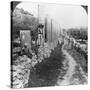 Herod's Street of Columns, Samaria, Palestine (Israe), 1905-Underwood & Underwood-Stretched Canvas