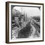 Herod's Street of Columns, Samaria, Palestine (Israe), 1905-Underwood & Underwood-Framed Photographic Print