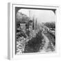 Herod's Street of Columns, Samaria, Palestine (Israe), 1905-Underwood & Underwood-Framed Photographic Print