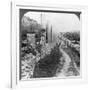 Herod's Street of Columns, Samaria, Palestine (Israe), 1905-Underwood & Underwood-Framed Photographic Print