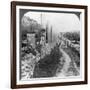 Herod's Street of Columns, Samaria, Palestine (Israe), 1905-Underwood & Underwood-Framed Photographic Print